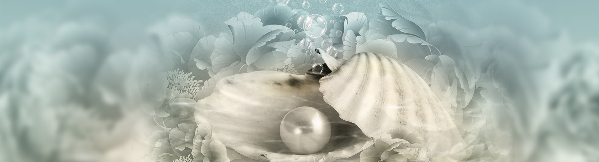/uploaded/banner/nt.jpg